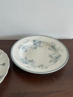 Vintage Botanical Porcelain Dinner Plate Collection